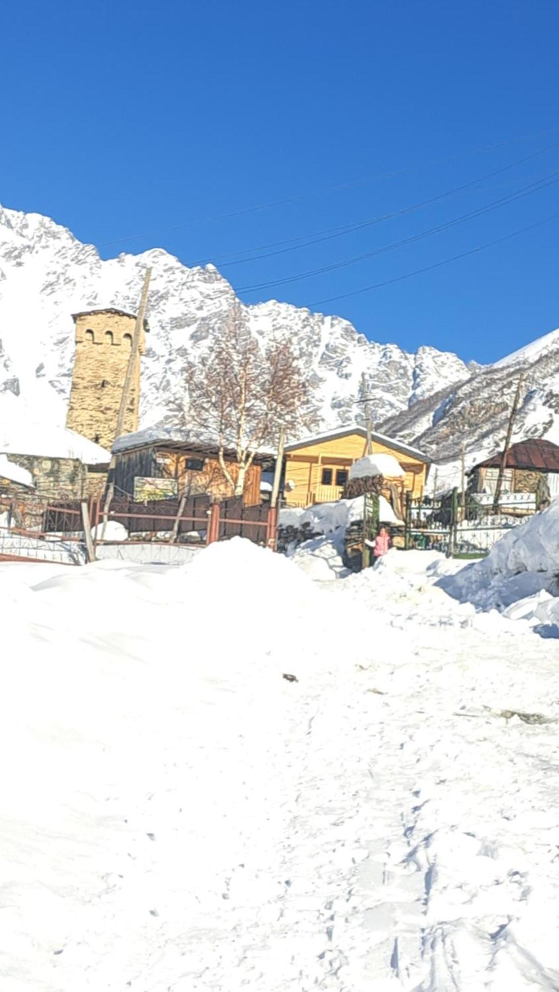 Chvibiani Guesthouse & Bar Uschguli Exterior foto